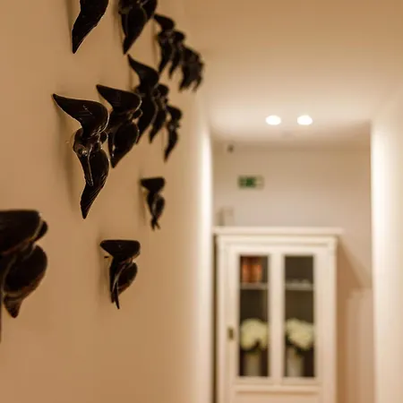 O Quinto Esquerdo Apartment *