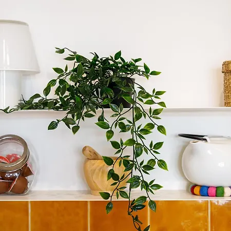 Appartement O Quinto Esquerdo *