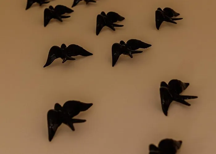 O Quinto Esquerdo Daire