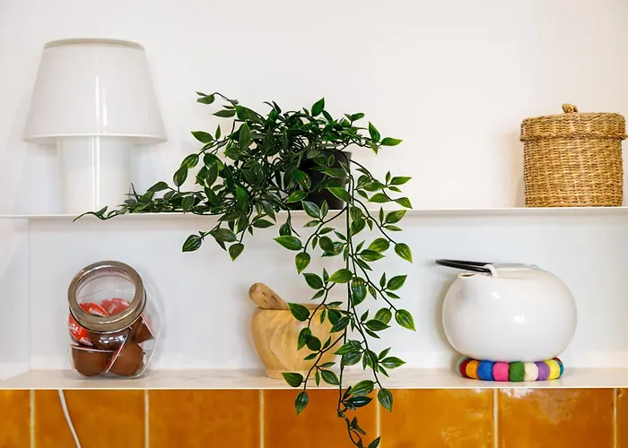 아파트 O Quinto Esquerdo *